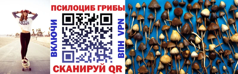 Псилоцибиновые грибы Cubensis  Купить где  Беслан 